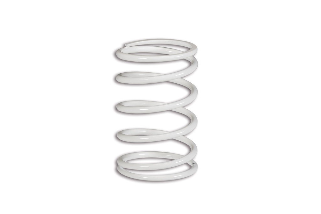 MALOSSI WHITE VARIATOR ADJUSTER SPRING