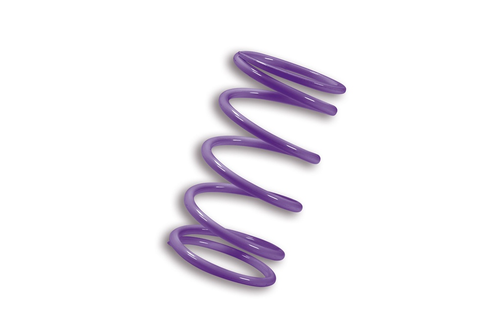 MALOSSI VIOLET VARIATOR ADJUSTER SPRING