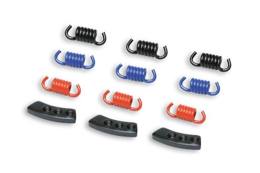 [298747] MALOSSI MHR SPRING SET FOR FLY CLUTCH AND DELTA CLUTCHES