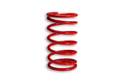 [2914023.R0] MALOSSI RED VARIATOR ADJUSTER SPRING