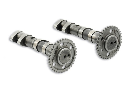 [5913783] MALOSSI DOUBLE POWER CAMSHAFT